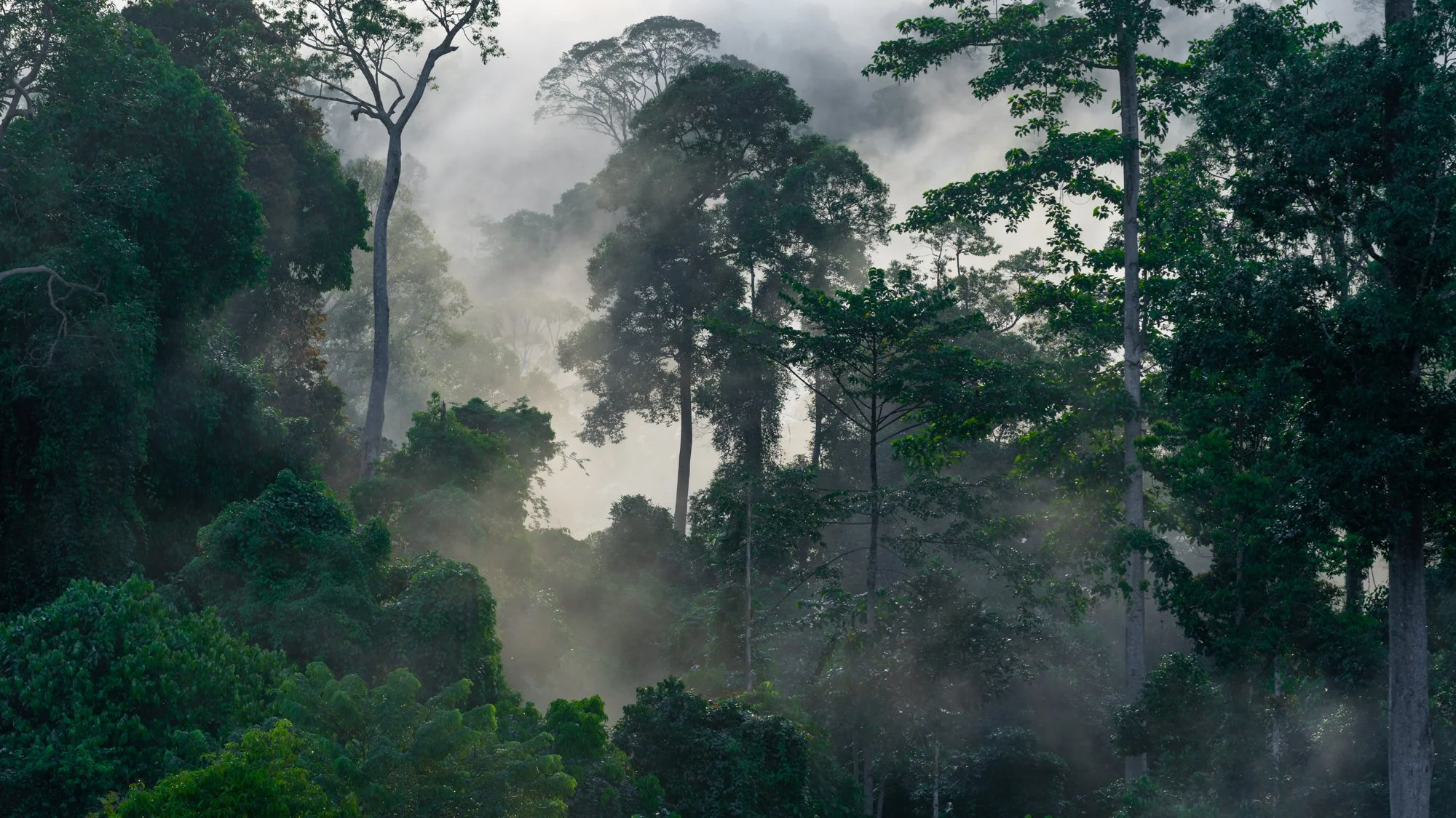 GV soundscape on Aeon essays