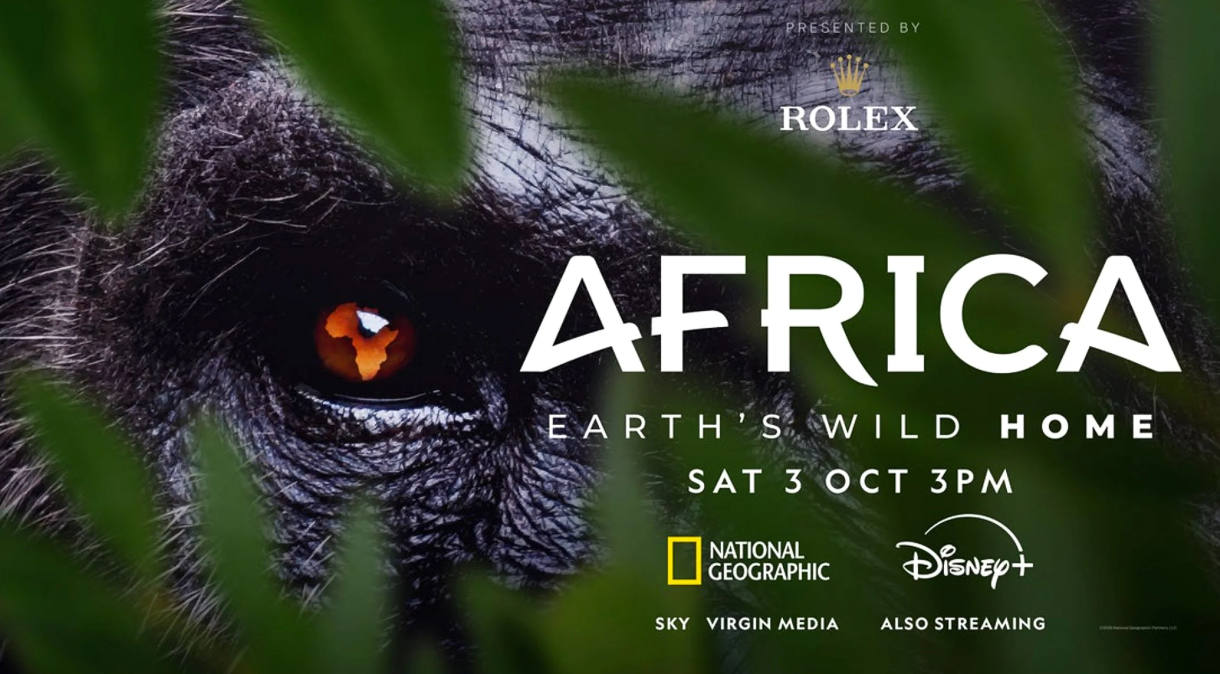 George Vlad's field recordings in upcoming documentary by Nat Geo and BBC