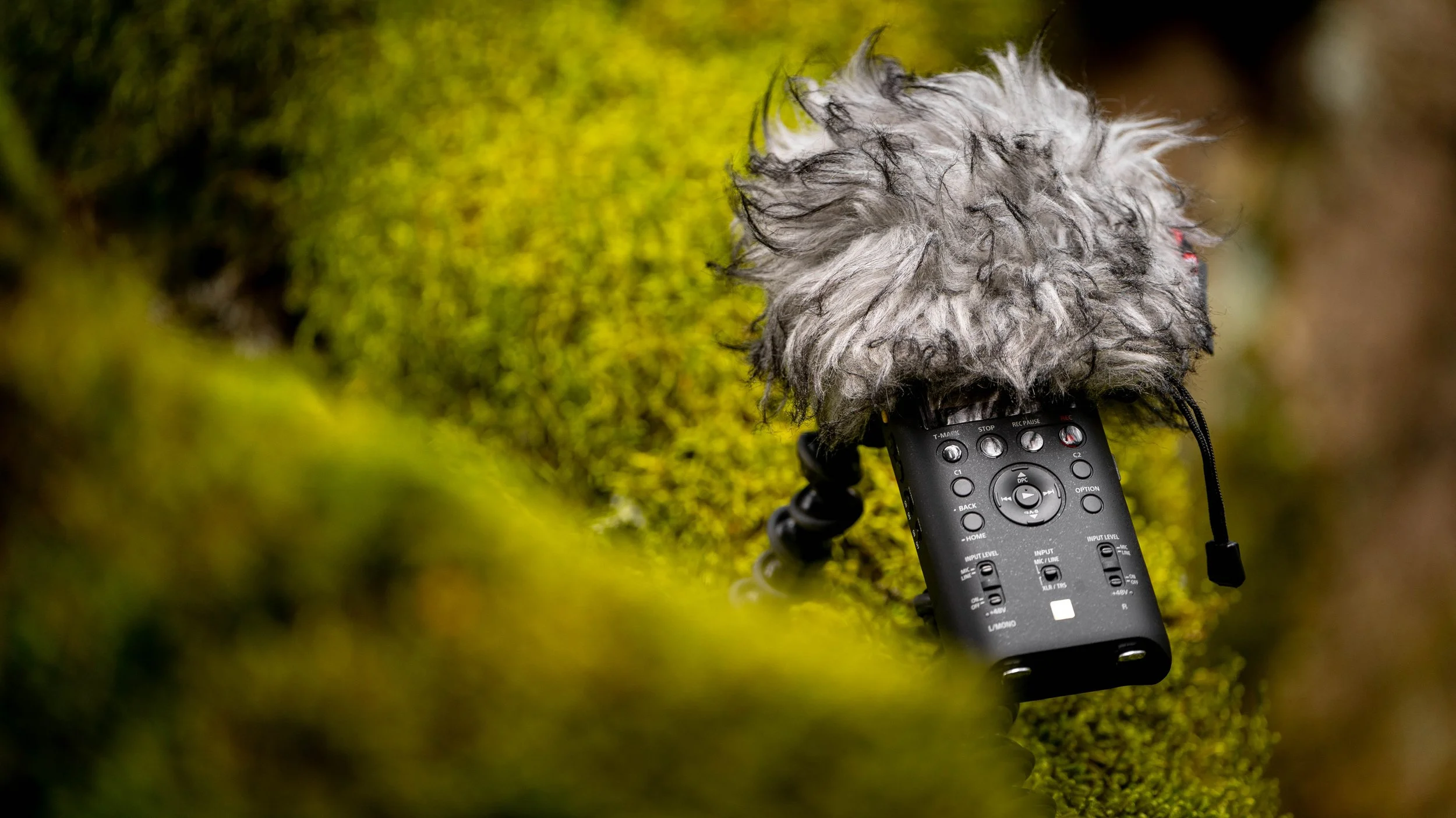 2024 updated holiday present guide for sound recordists — Mindful Audio