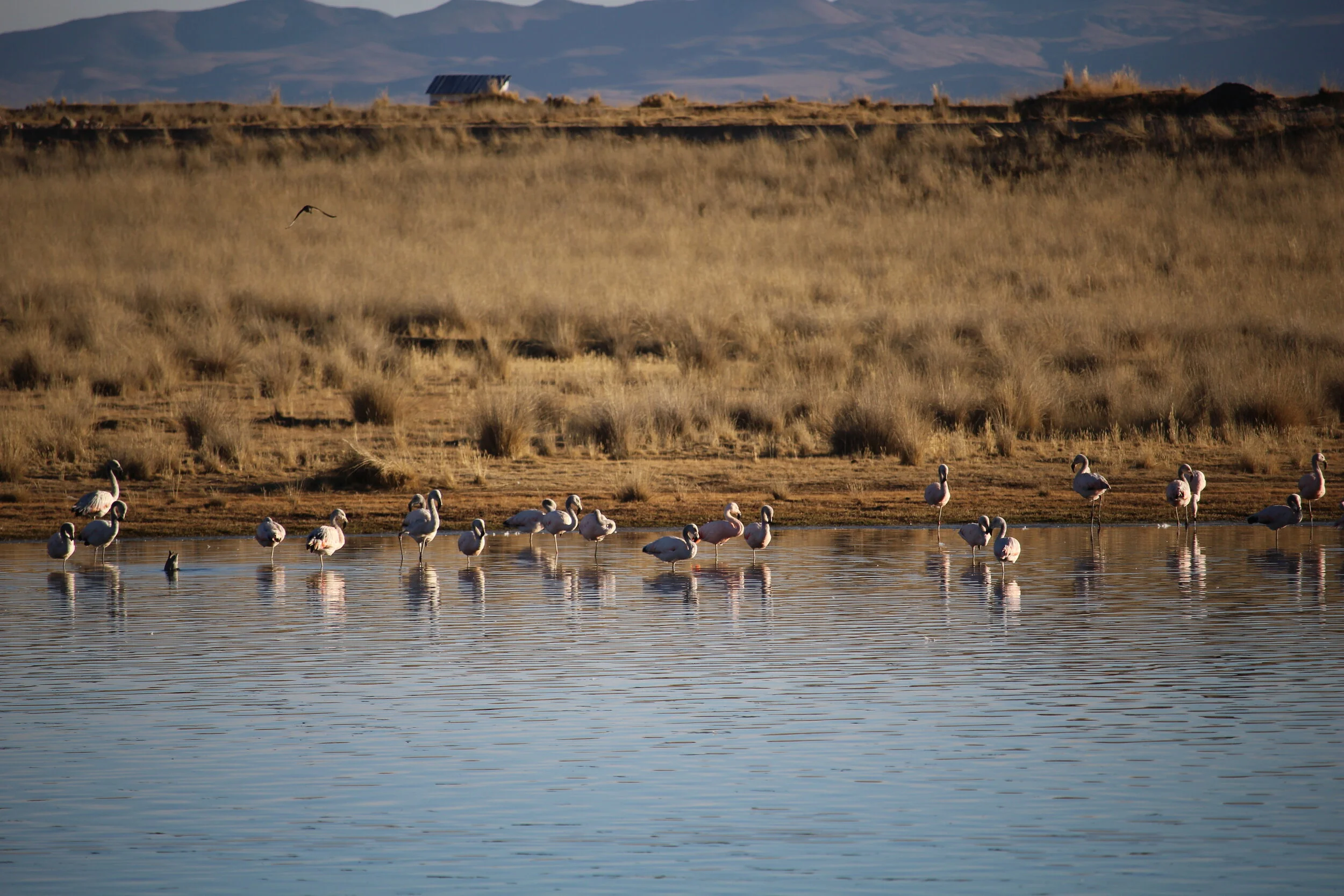 a small highland lake near the Tintaya Mine in Espinar, Peru