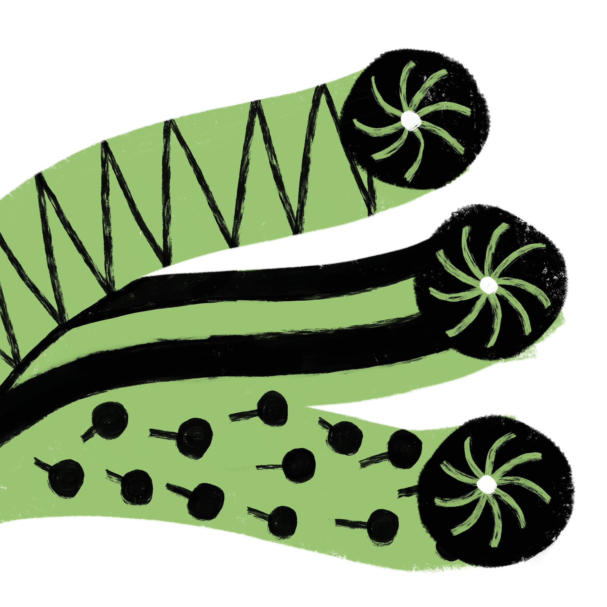 Untitled_Artwork 8.png