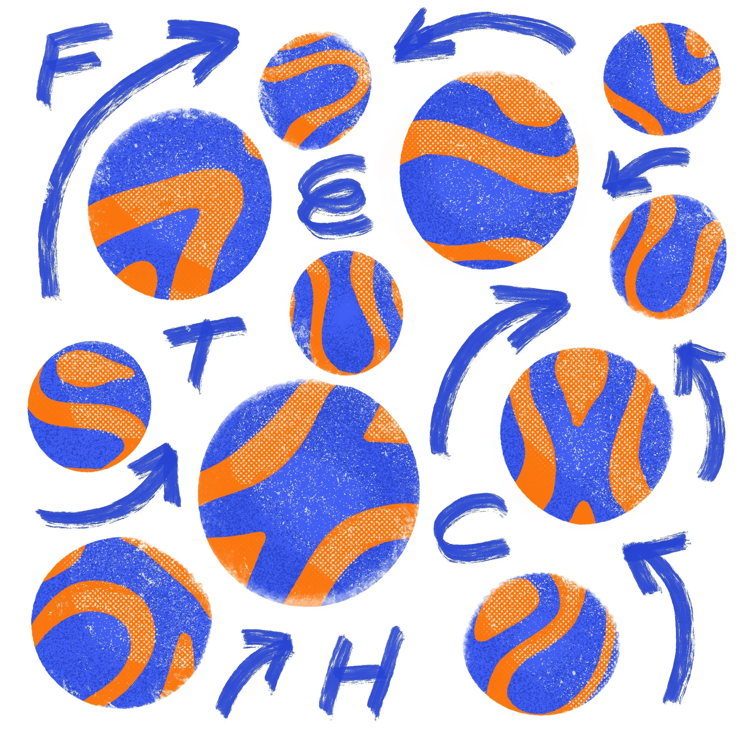 04_Fetch.jpg
