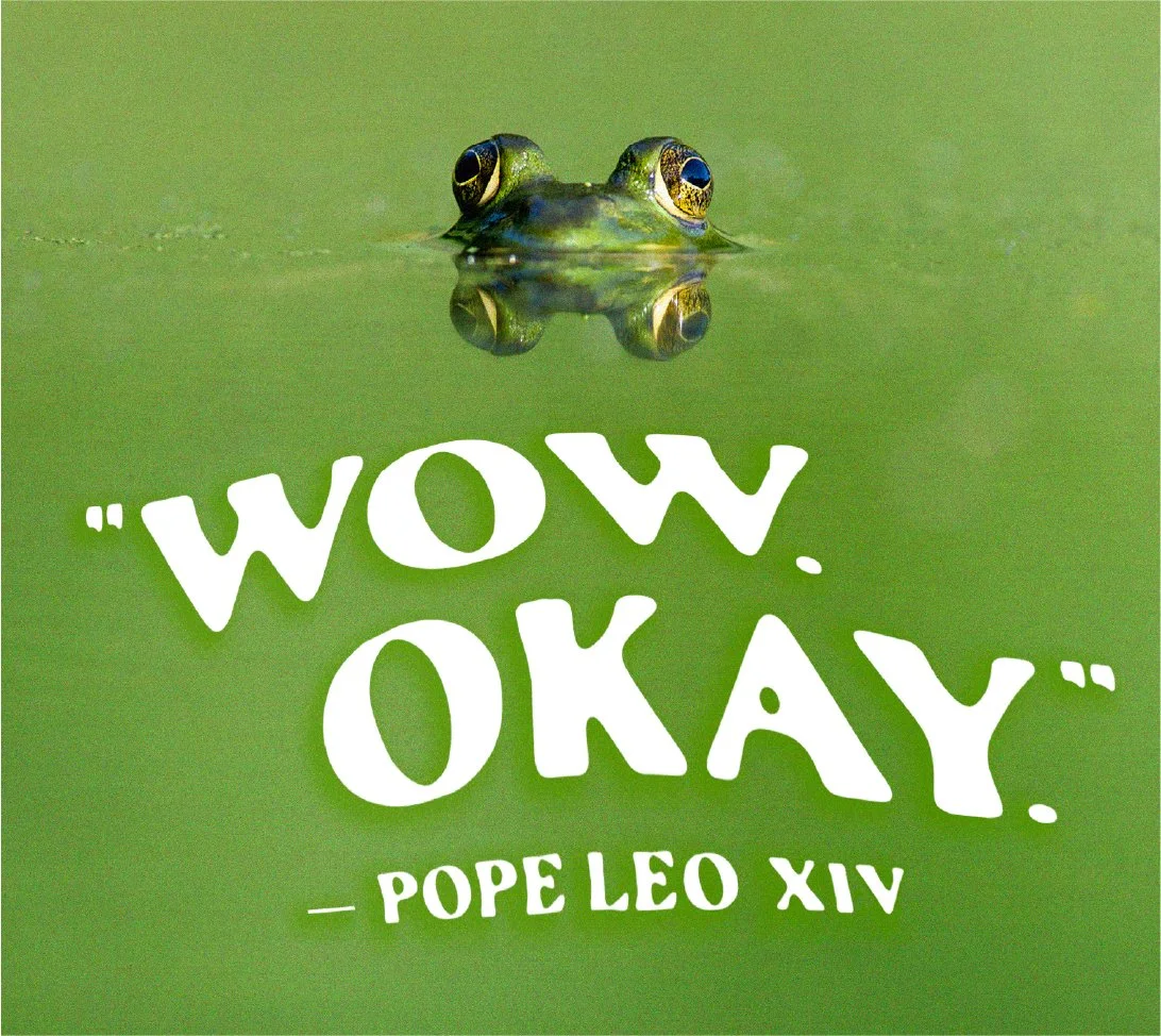 Wow.Okay.@3x-100.jpg