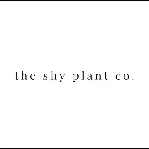 Theskyplant.png