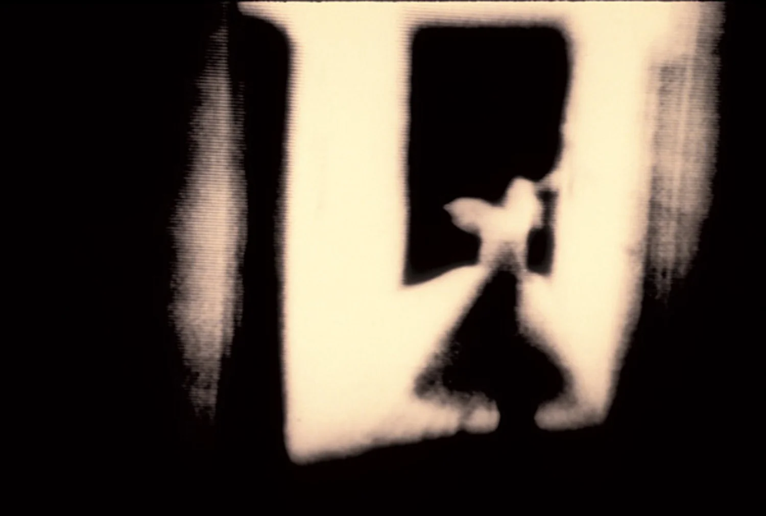 Memories (black&white)