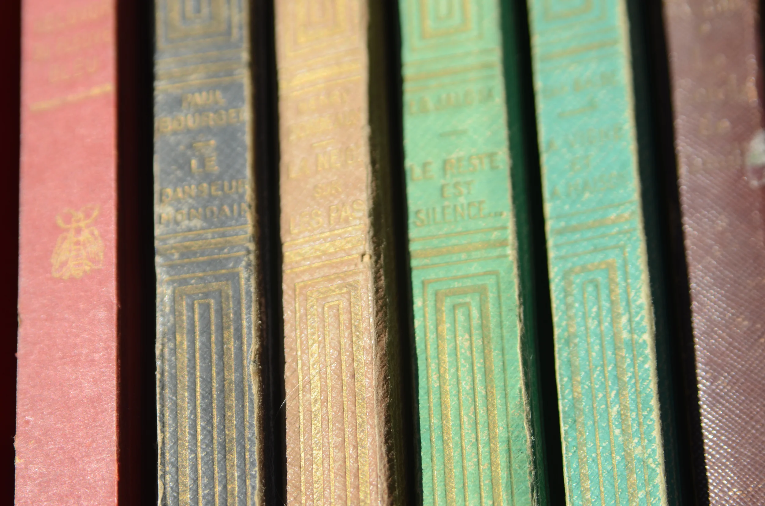 Vintage Books at Cours Saleya Market, Nice, France