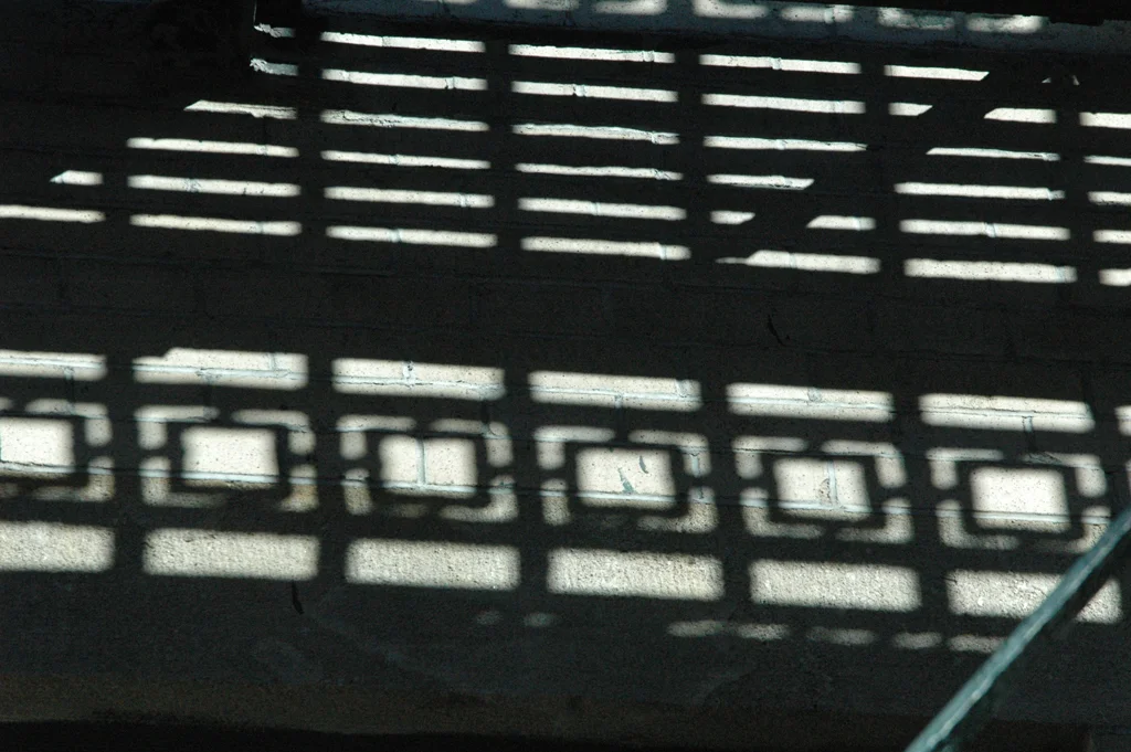 Fire Escape Shadows on Avenue A 1