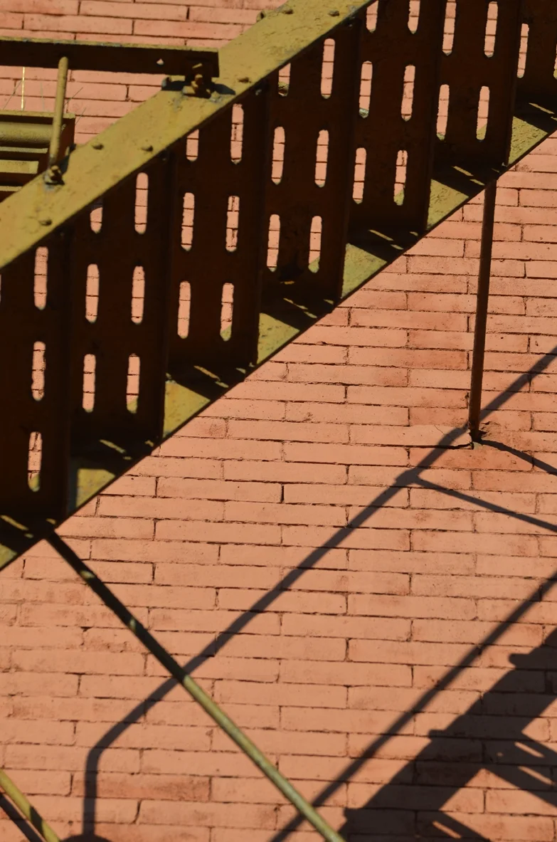 Fire Escape Shadows on Horatio Street 2