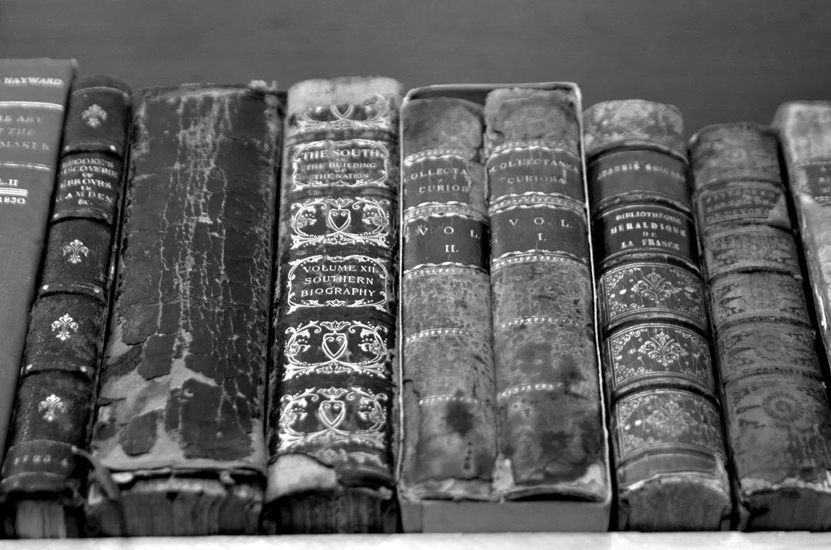 Leatherbound Books in Vortice Libreria San Miguel