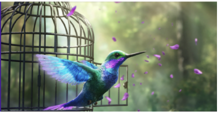 Screenshot 2025-11-06 at 11.26.13 AM.png