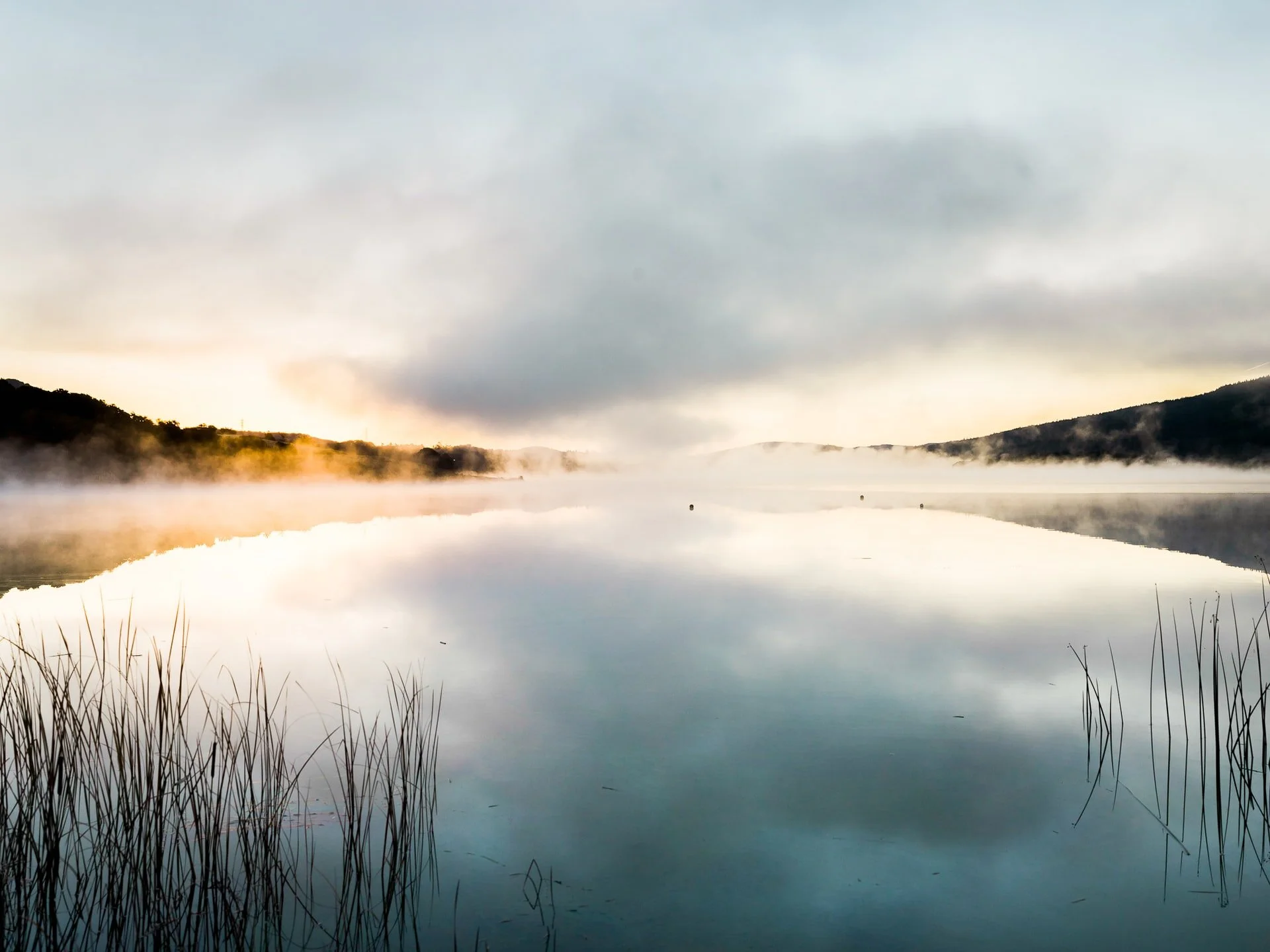 aaron-lee-3bBb4GAHZbo-unsplash (2).jpg