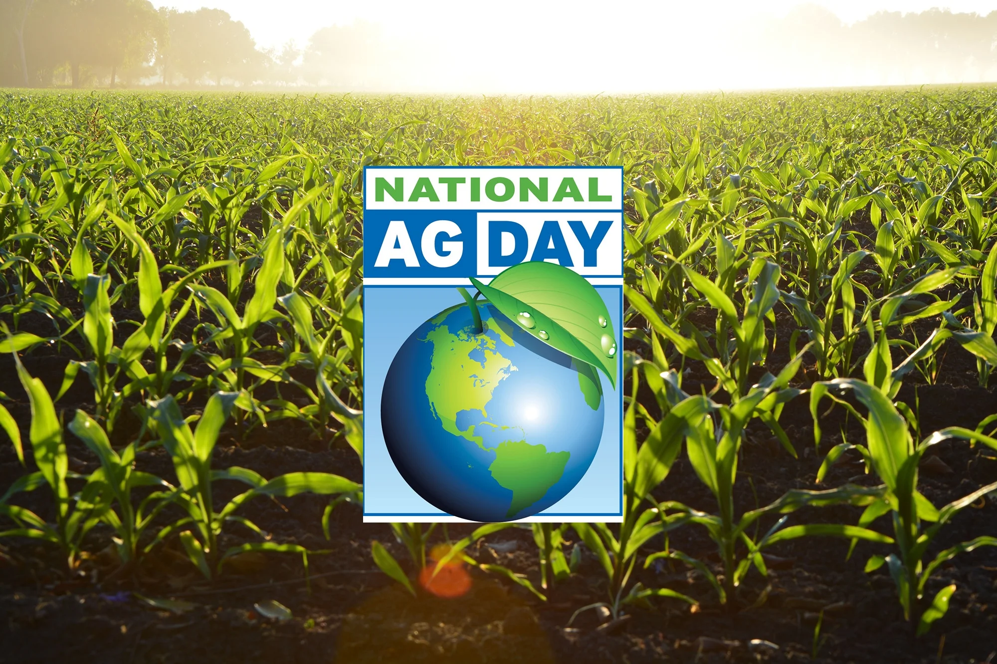 4 Reasons to Go Digital This National Agriculture Day