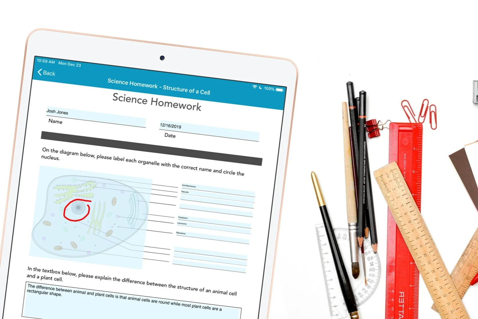 Spotlight Form: Digital Homework & Online Quizzes
