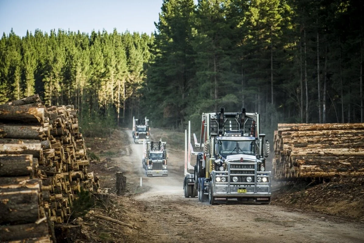 Customer Story: Mangan Logging