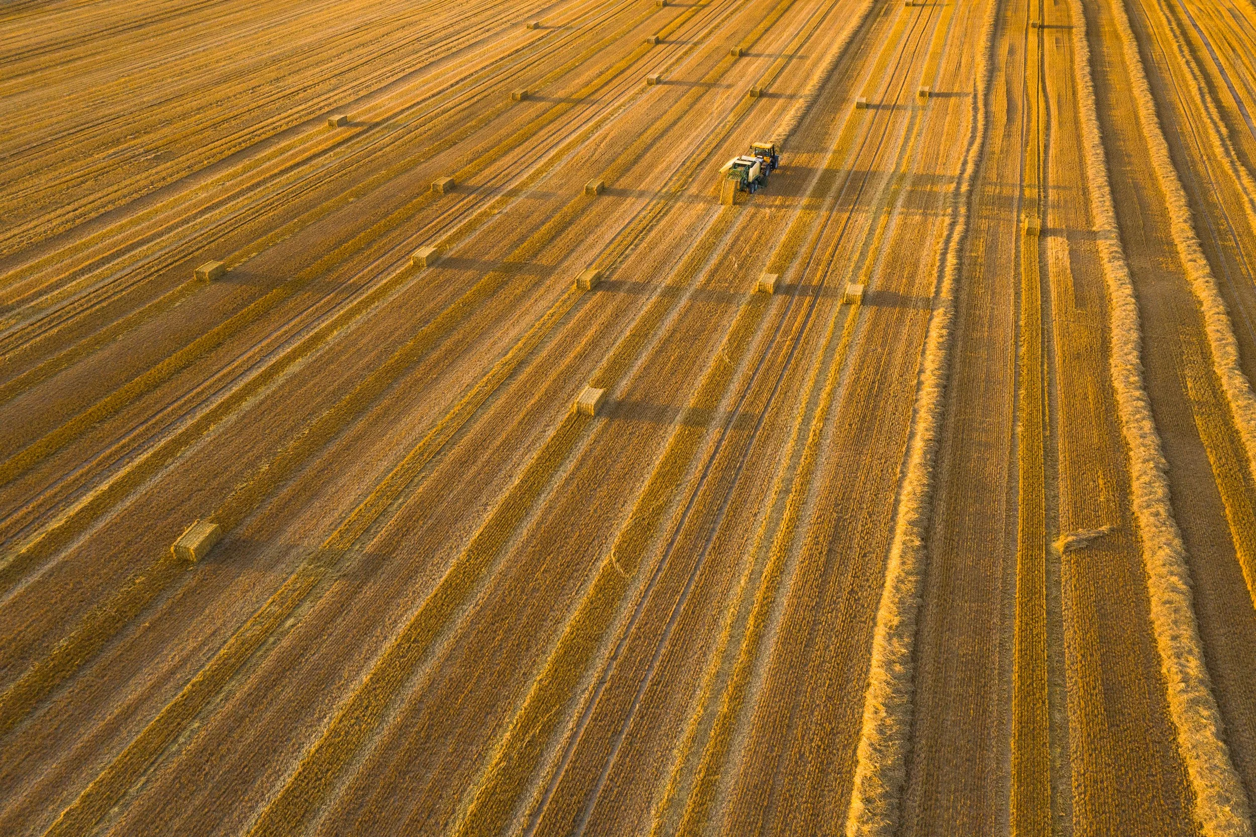 How Big Data Can Support Your Harvest Season