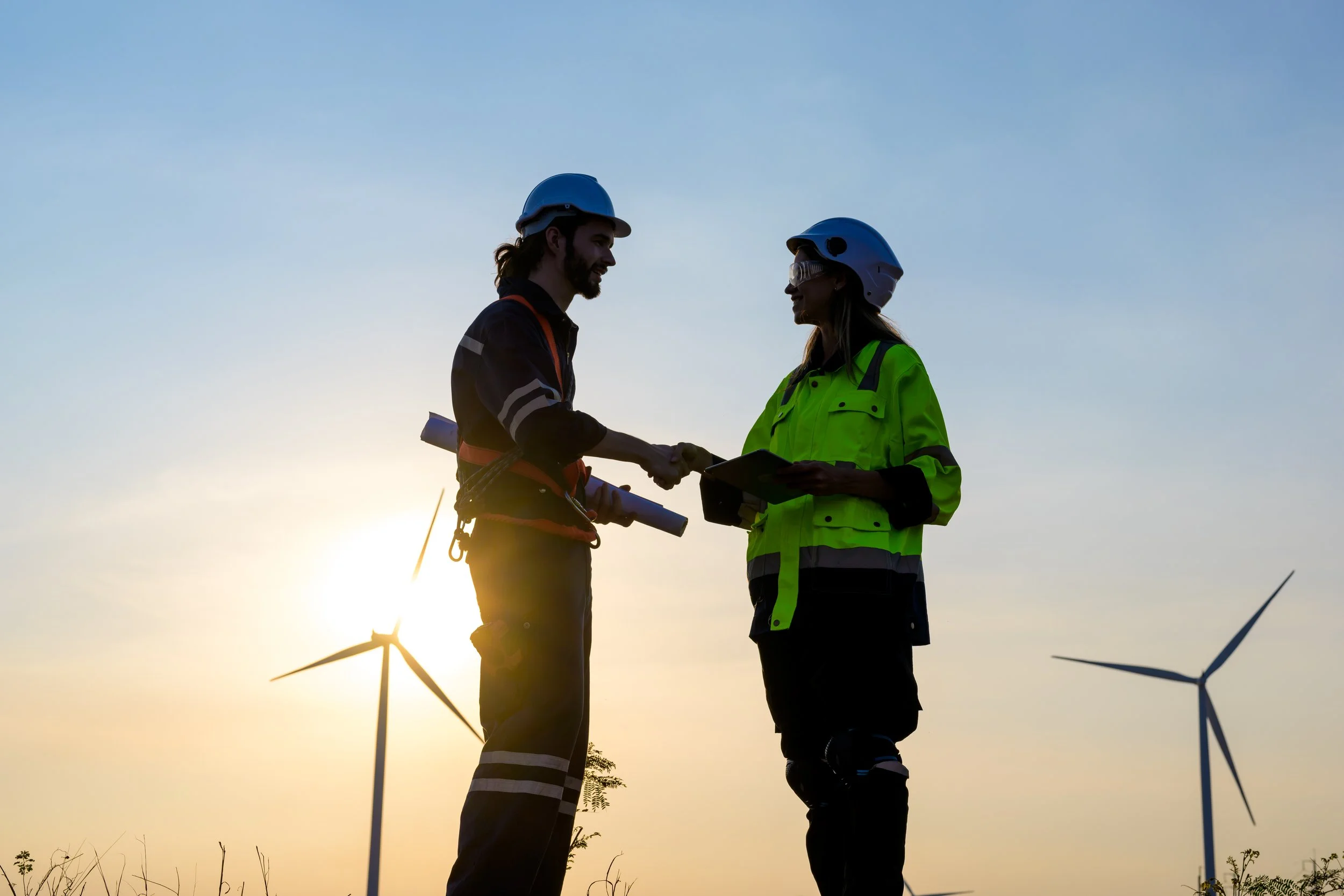 The Role of Digital Forms in Renewable Energy