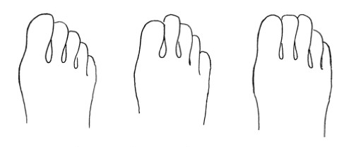 Which are you... tapered, longer 2nd toe, or square?