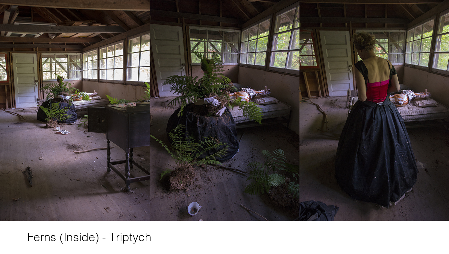 Ferns (Inside) -Triptych_title_WEB copy copy.jpg