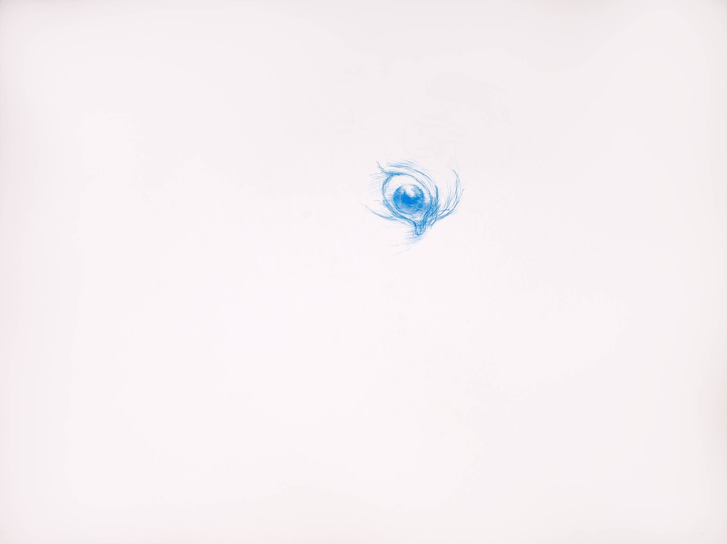 DavidScans-67_v3_@0.5x.png