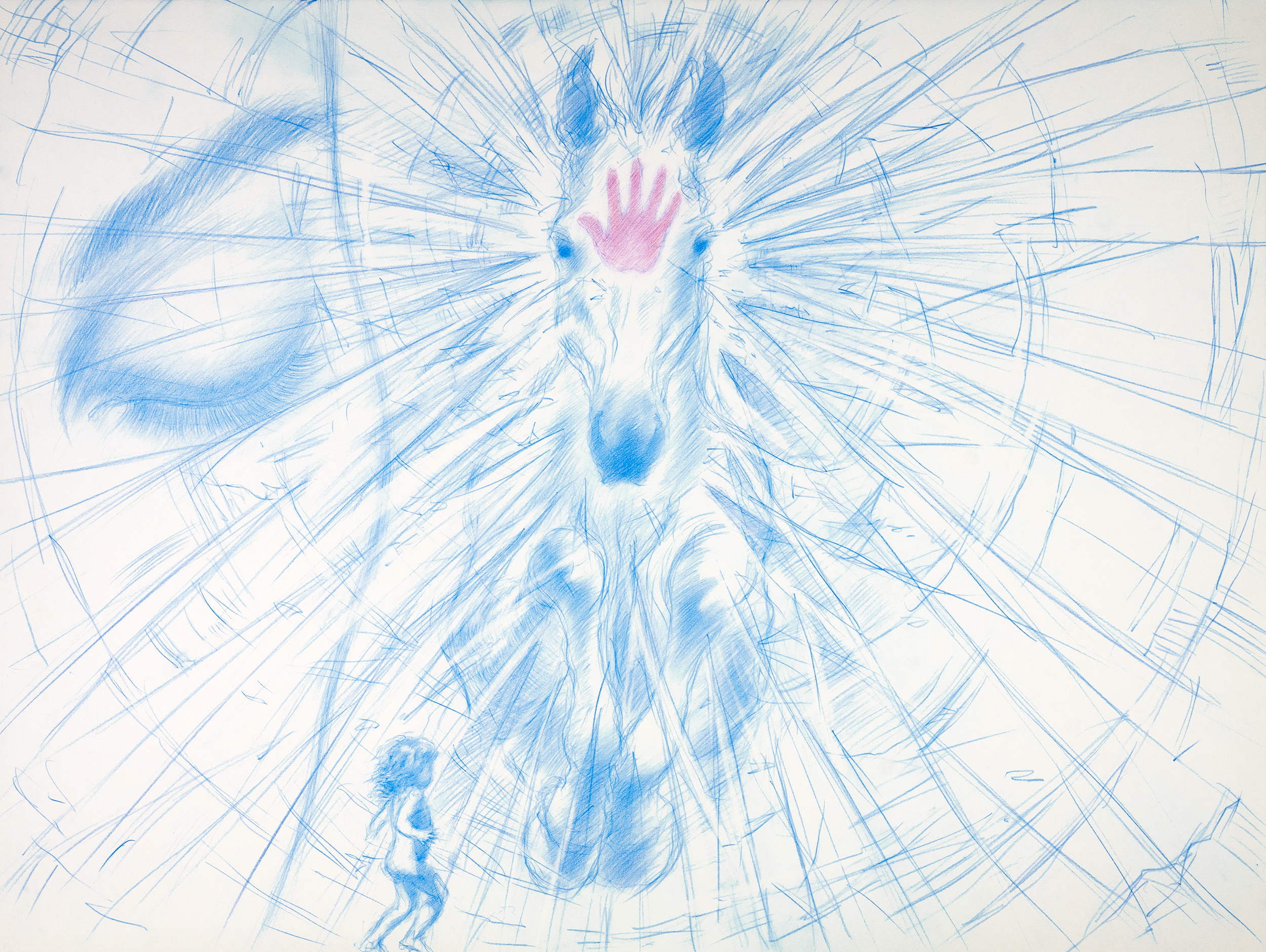 DavidScans-8_v3_@0.5x.png
