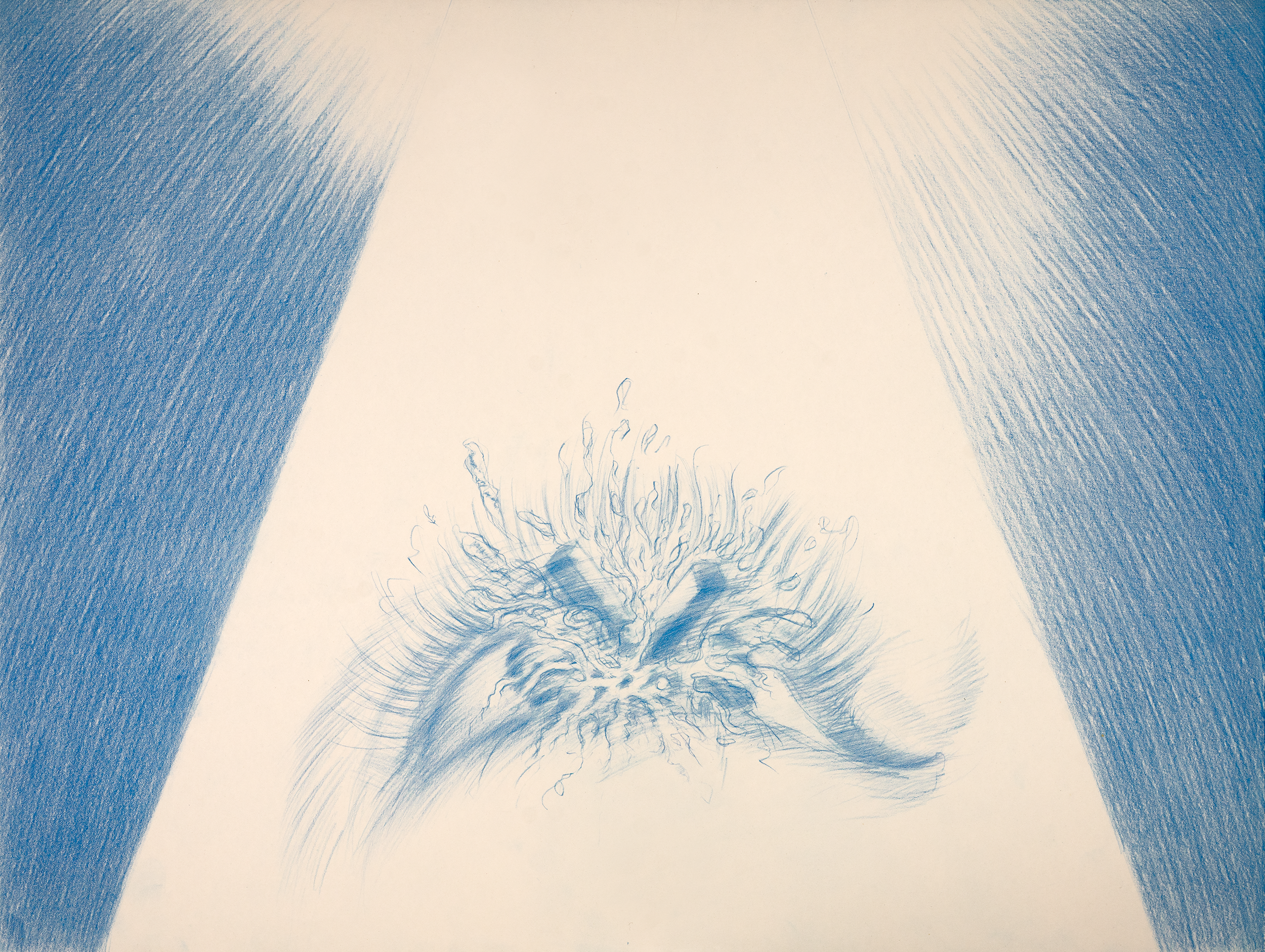 DavidScans-71_v3_@0.5x.png
