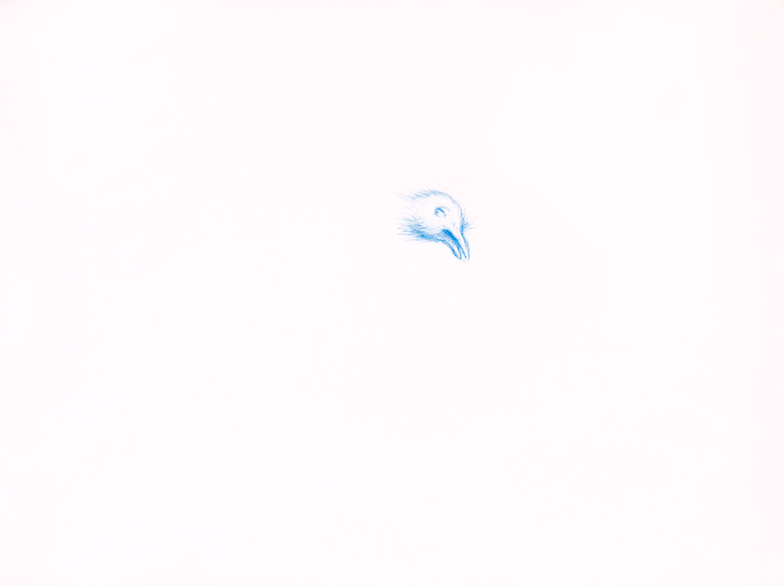 DavidScans-65_v3_@0.5x.png