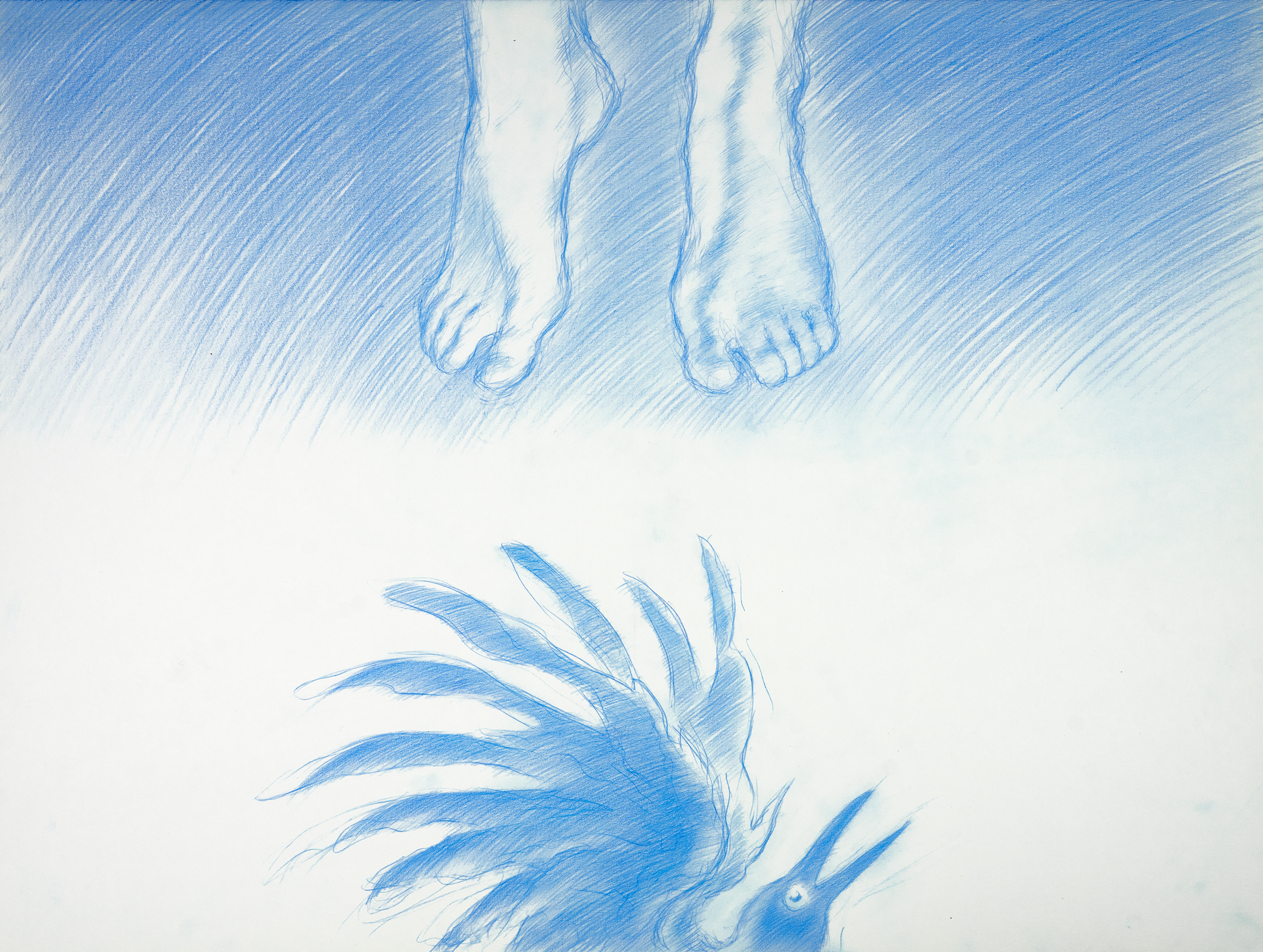 DavidScans-64_v3_@0.5x.png