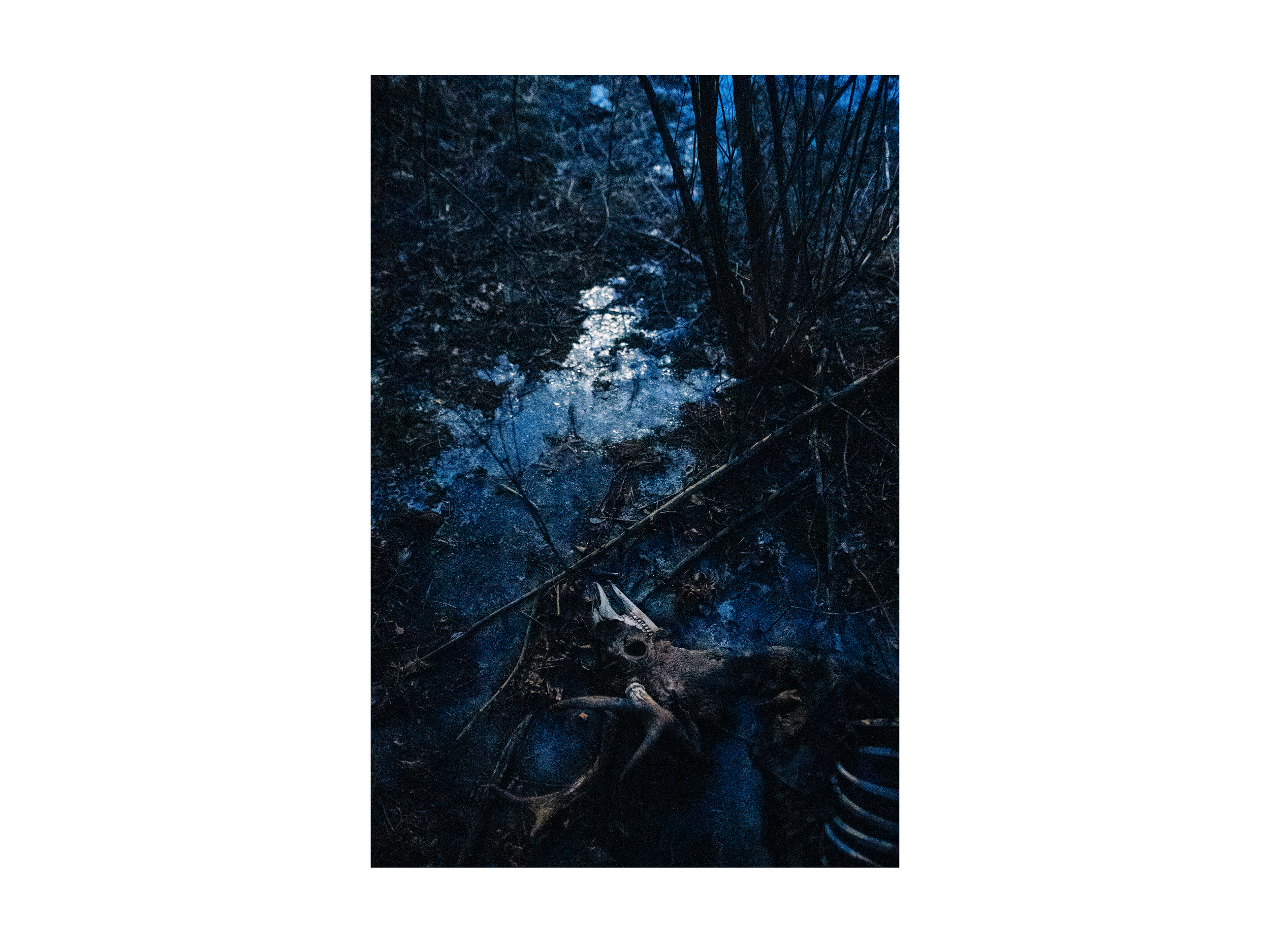 4935_v2_3x4.png