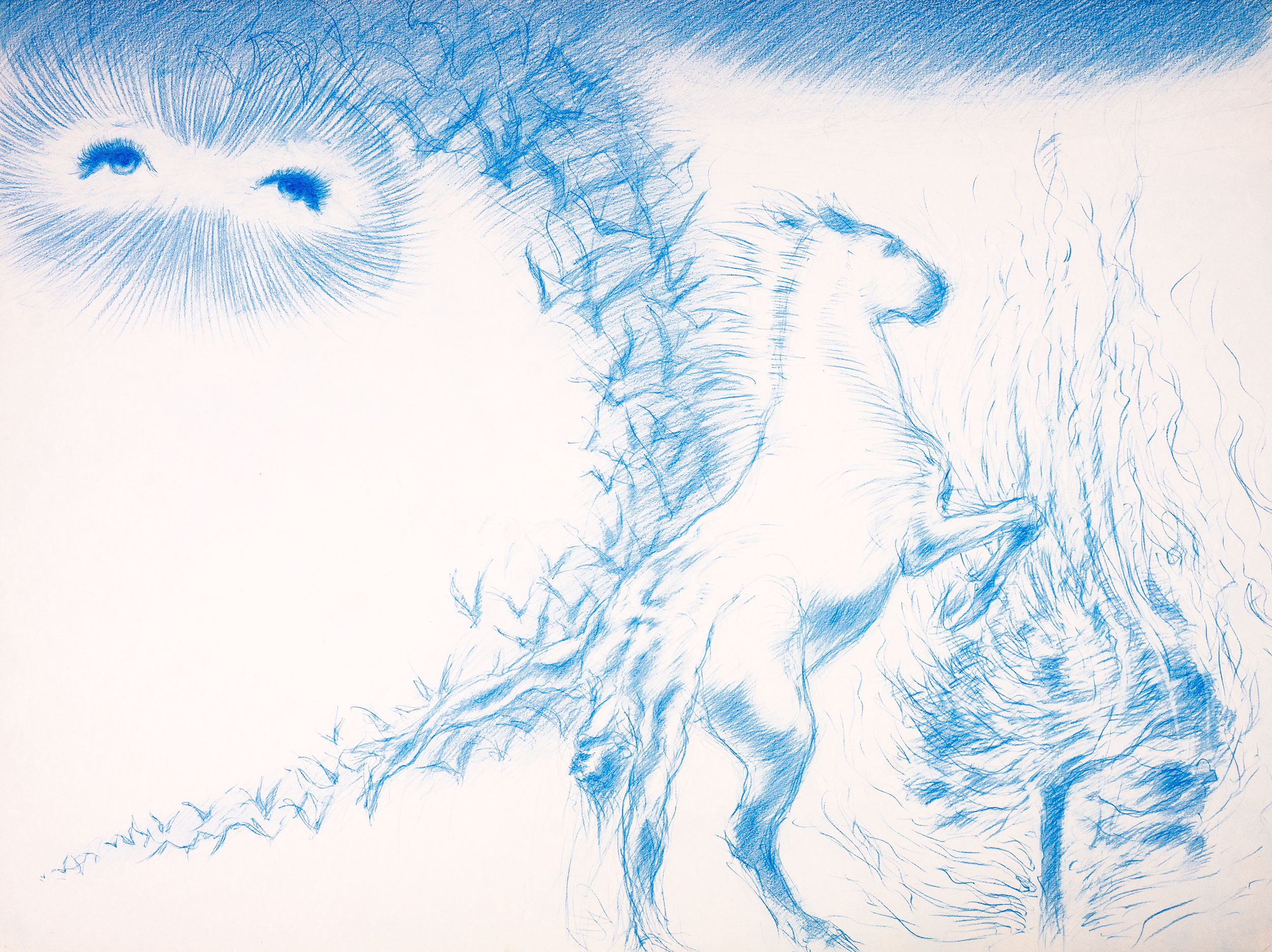 DavidScans-49_v3_@0.5x.png