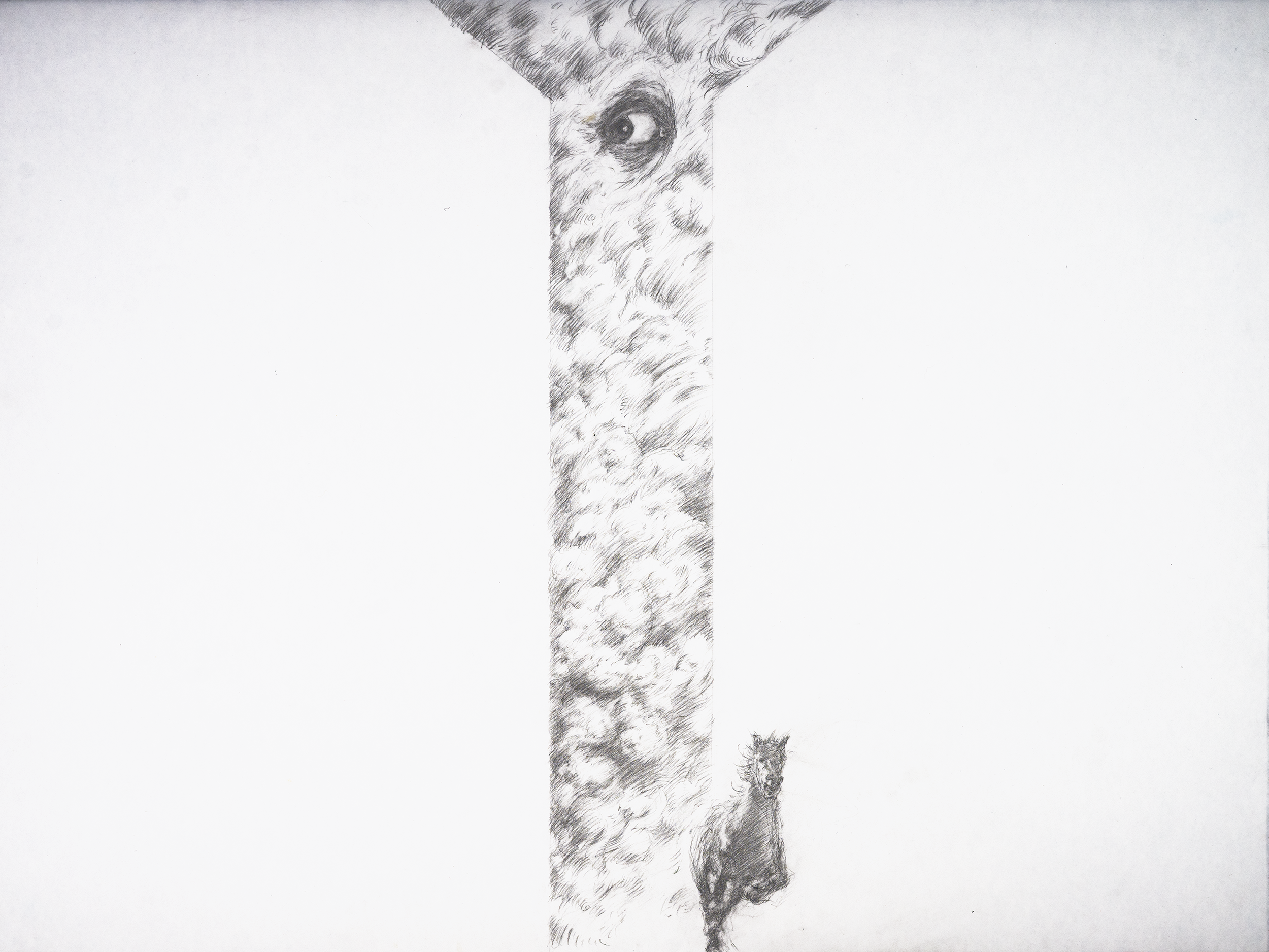 DavidScans-109_v3_@0.5x.png