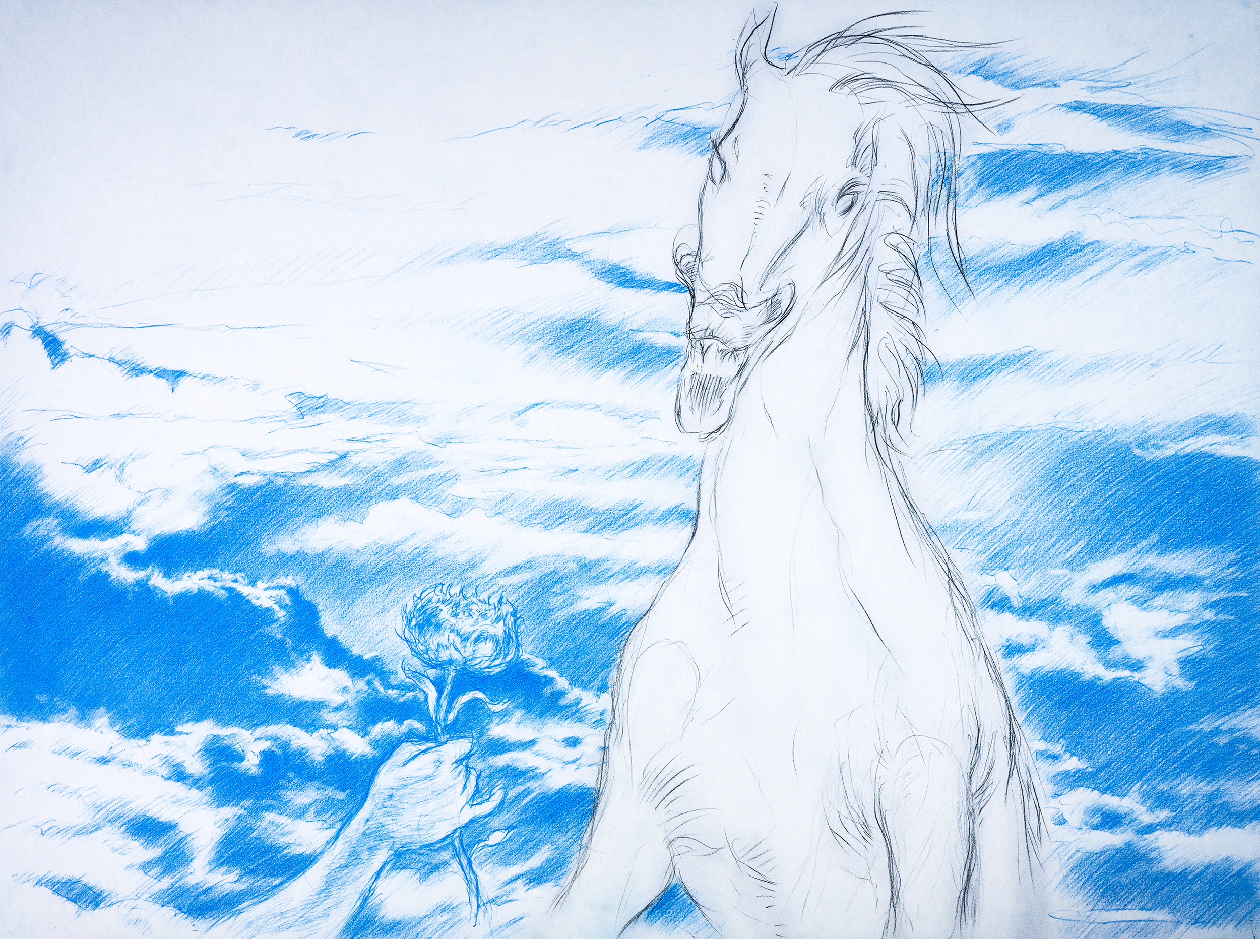 DavidScans-52_v3_@0.5x.png