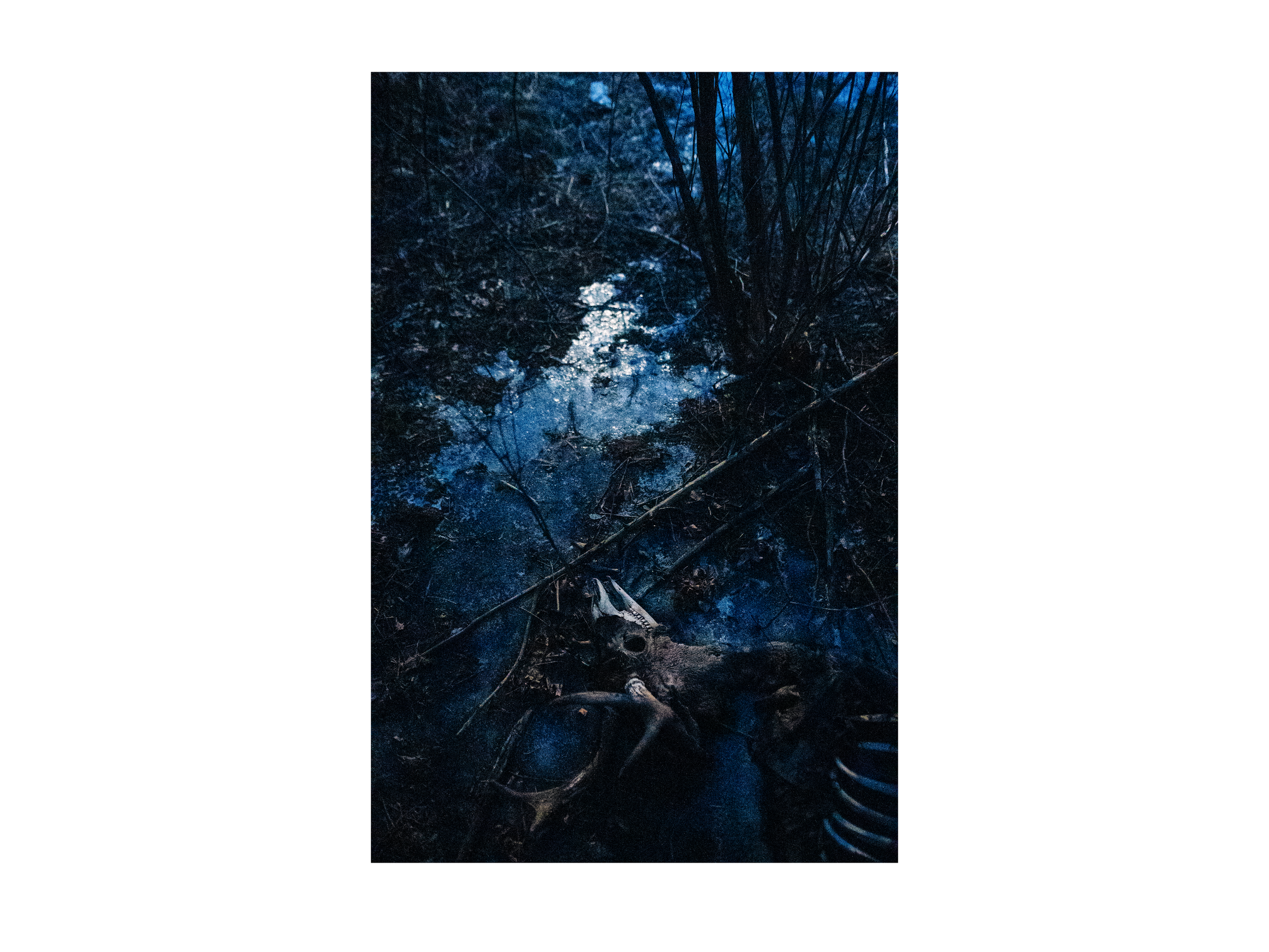 4935_v3_3x4.png