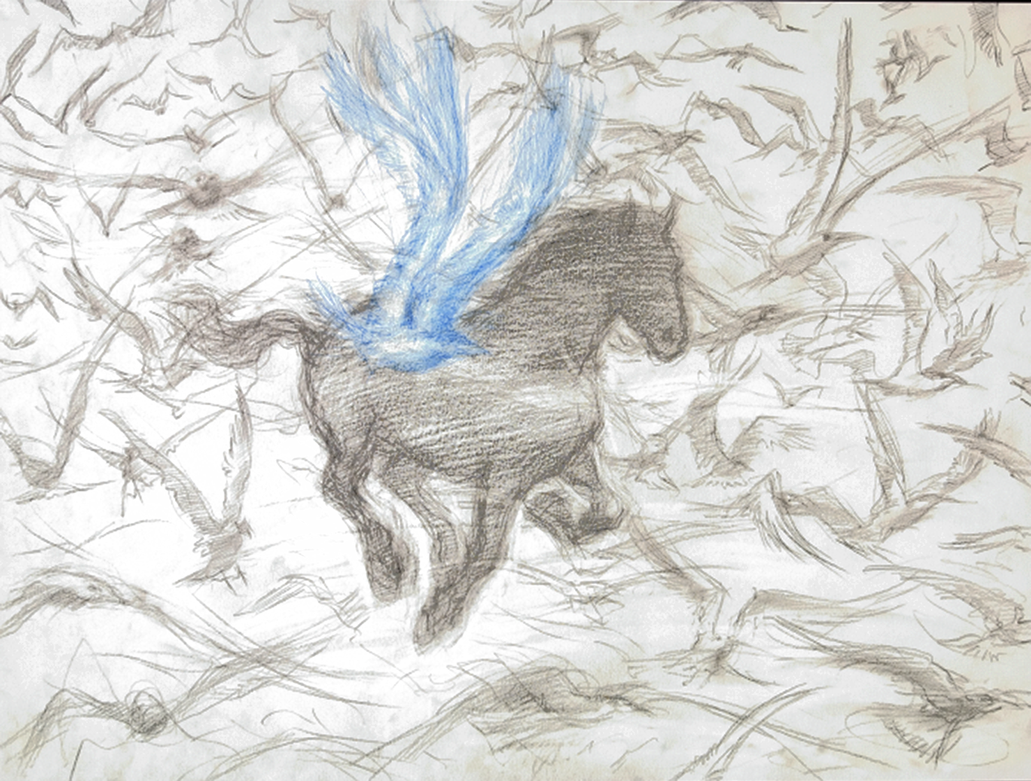 Pegasus_Edit_@0.5x.png