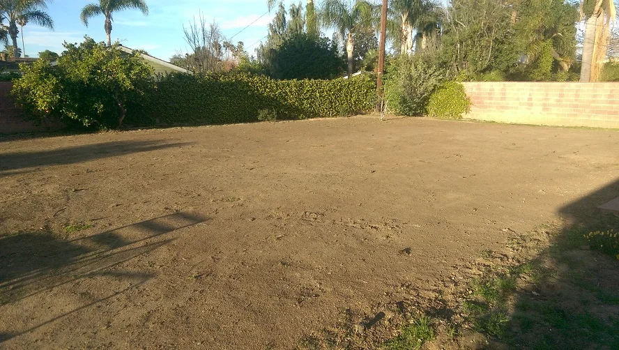 25 - Back Yard Removing Turf.jpg