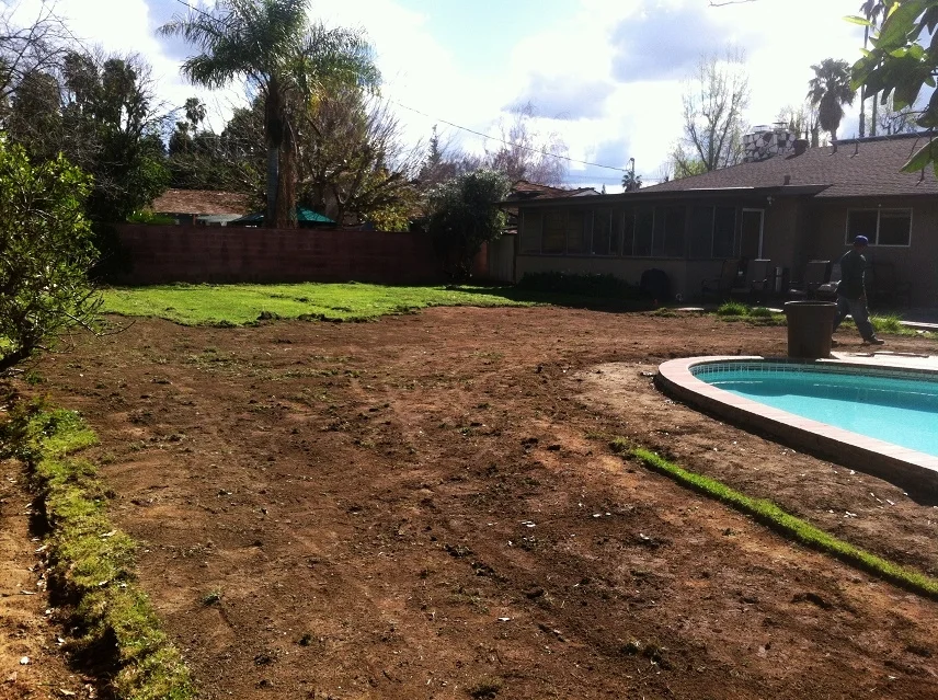 24 Back Yard Removing Turf.JPG