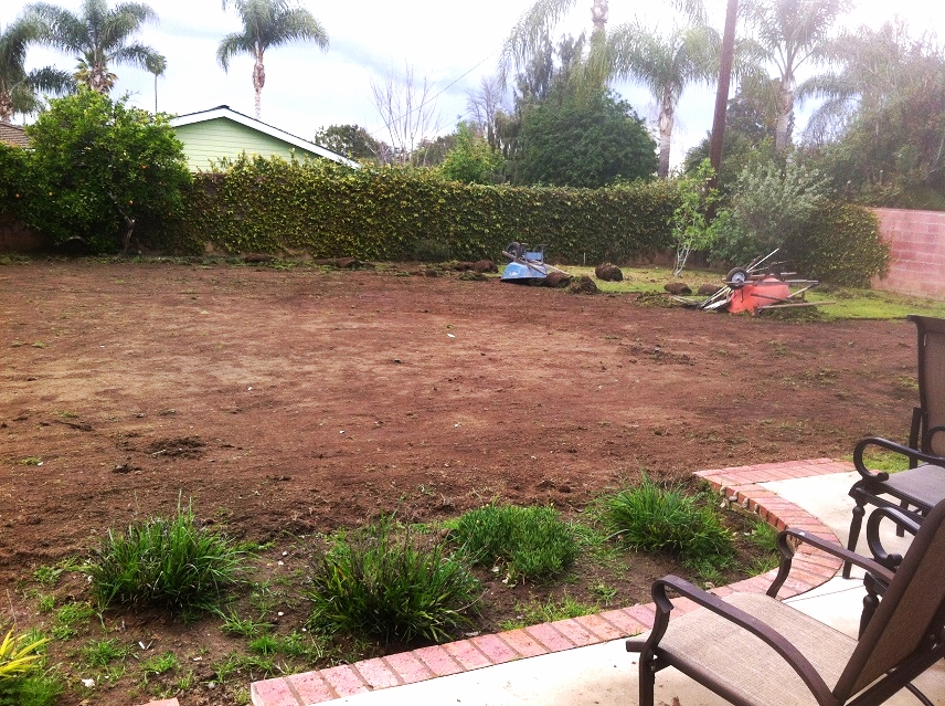 23 - Back yard Removing Turf.JPG