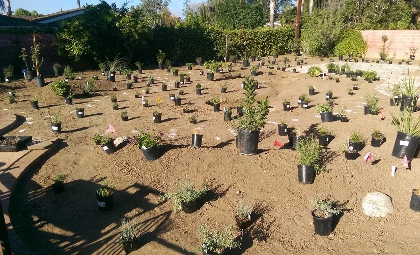 26 - Back Yard Planting Mulch Hardscape.jpg