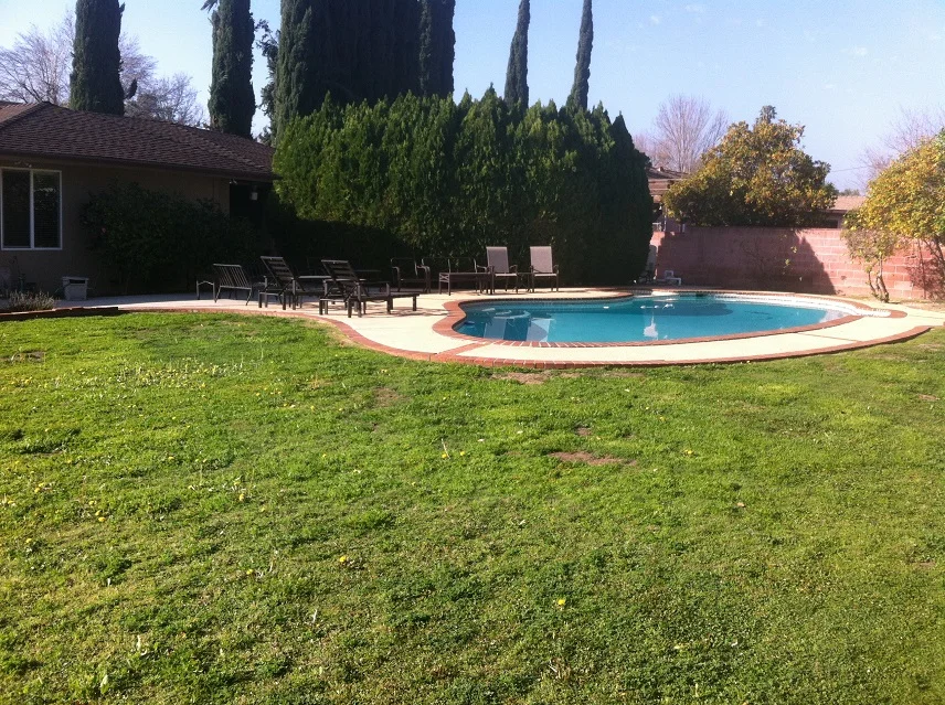 21 Back Yard Pre-construction.JPG