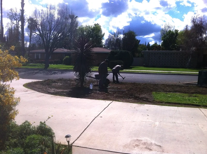 12 Front yard - removing turf.JPG