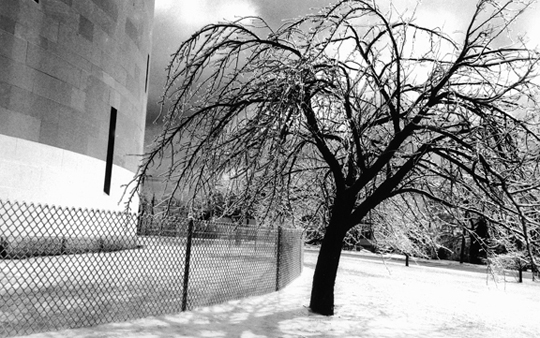 Ice Storm, Robbins Hill, photograph, 14" x 18", $100