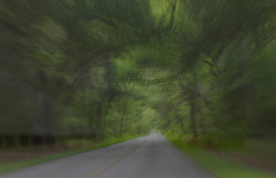 Road View, Near Old Sheldon Church, SC, archival photograph on washi paper, 18" x 20"