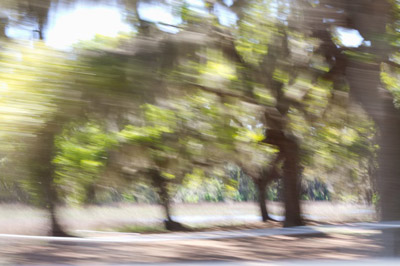 Road View, St Helena Island, SC, archival photograph on washi paper, 18" x 20", $200