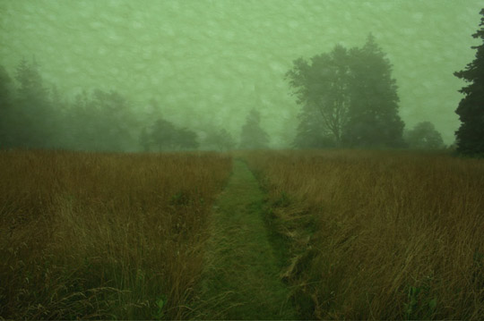 Fog 4, photograph on watercolor paper, 17" x 21"