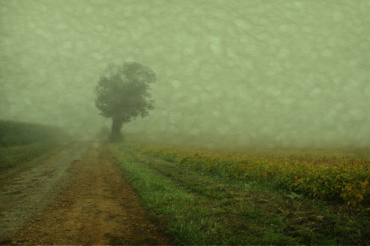 Fog 8, photograph on watercolor paper, 18" x 22"