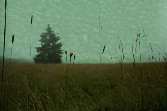 Fog 2, photograph on watercolor paper, 17" x 21"