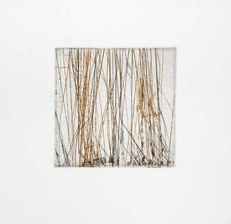 Dual-Layer Spectrum (3/13), intaglio print, 8" x 8" $150