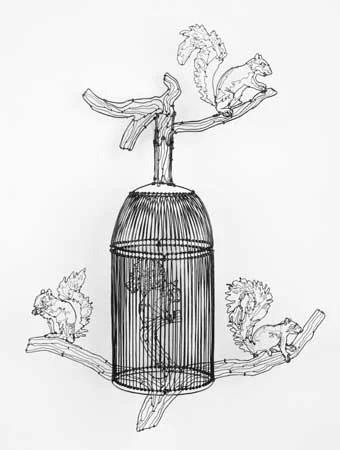 Squirrel Cage #1, painted steel wire, 21" x 16" x 7", sold
