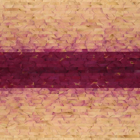 Color Bands, Red and Yellow Roses, Giclee Print of Rose Petals on Paper, 24" x 24" framed $750