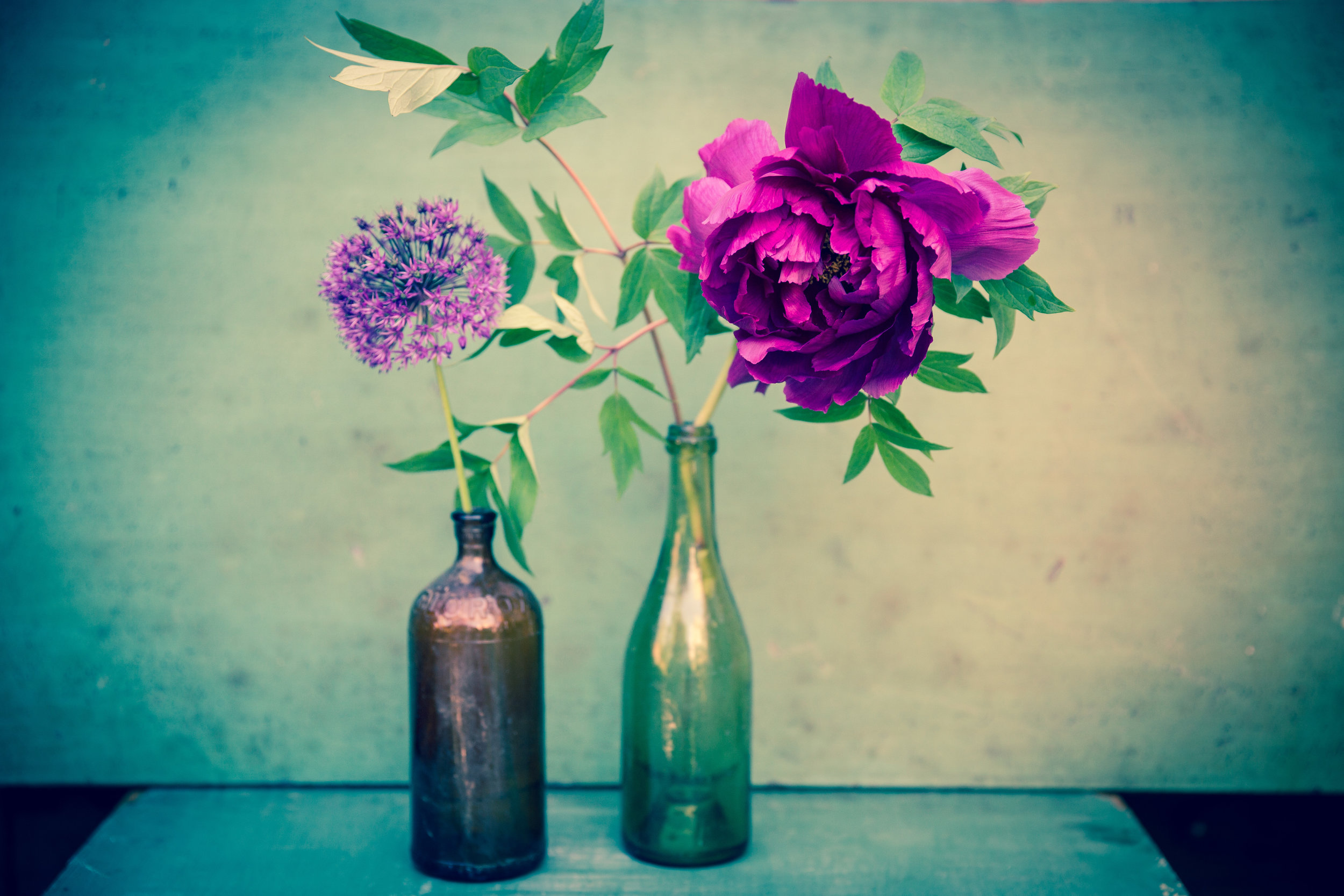 Allium/Peony in Two Bottles , archival inkjet print on paper, 20" x 30", $350