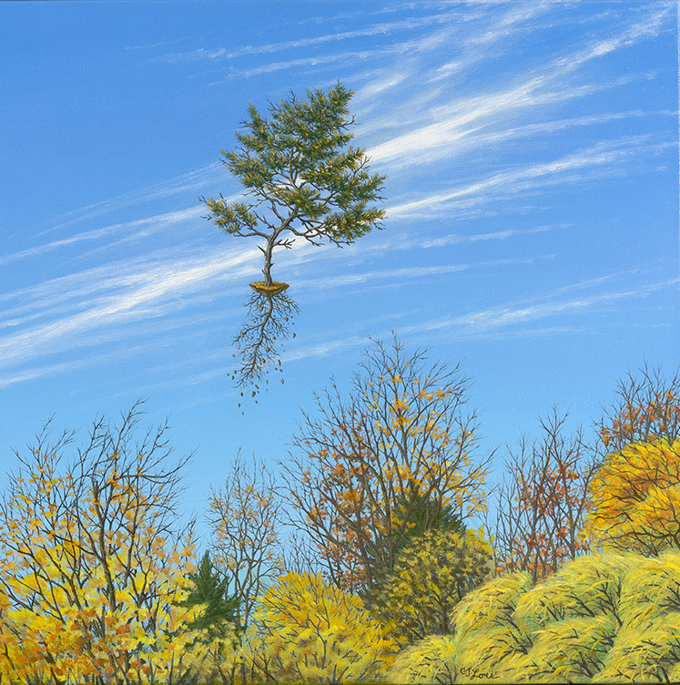 November Leaves , oil on canvas, 20" x 20", $2,800